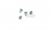 Team Slot 52049 - Screws - M2 x 3mm - pack of 4